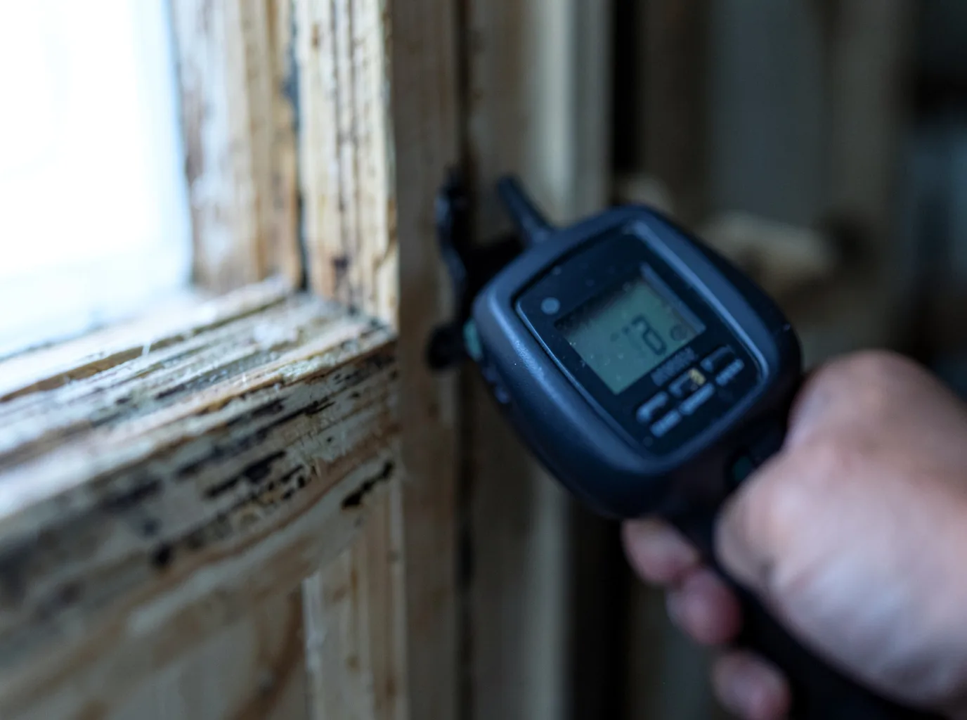 Water Damage Restoration Brooker, FL FAQs